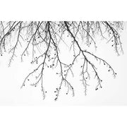 Black Twig Silhouette glass film pattern in black, full design view